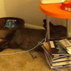 Image for article titled No, Bunnies Don't Rule -- They're Monsters